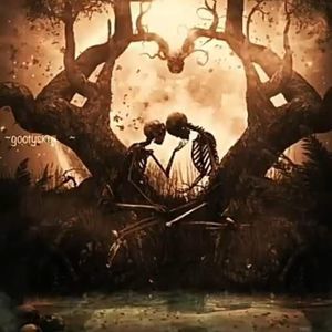 Meet your Posher, Christy pace